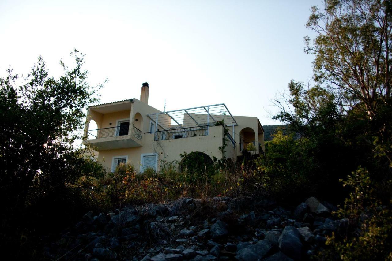 Villa Palmyra Pogonia Bagian luar foto