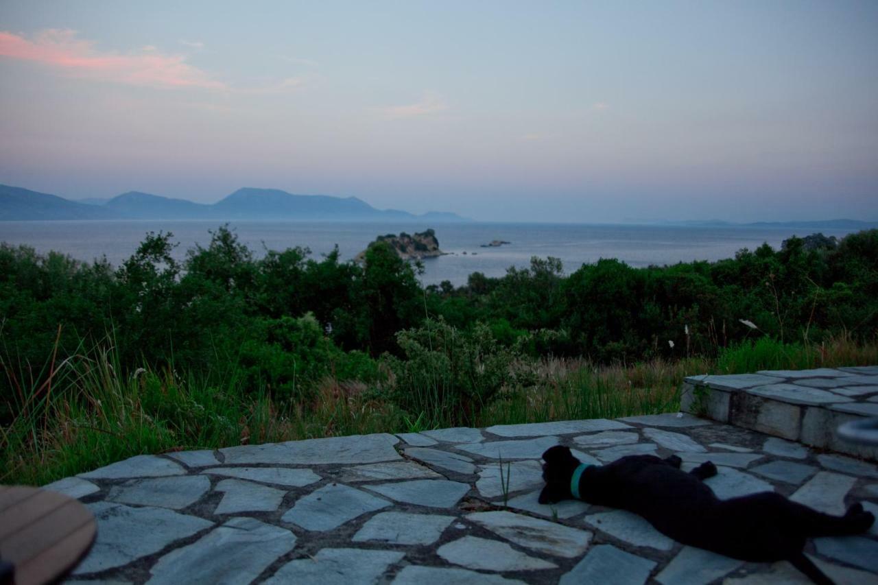 Villa Palmyra Pogonia Bagian luar foto