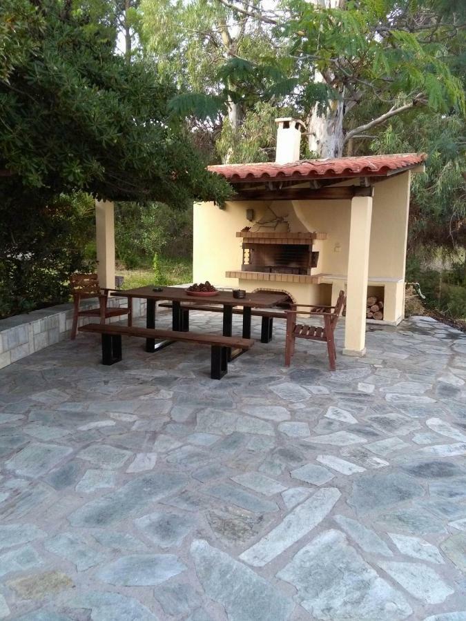 Villa Palmyra Pogonia Bagian luar foto